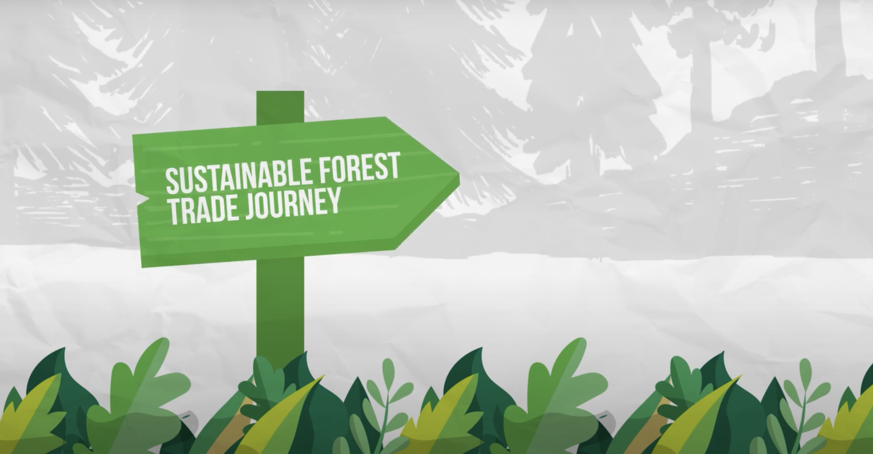 The Sustainable Forest Trade Journey UNREDD Programme